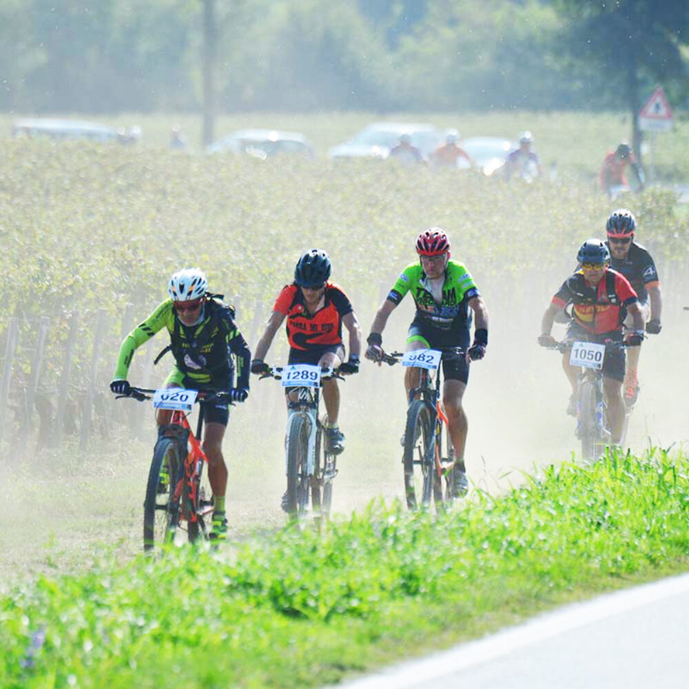 87a346ce-b467-4373-9f9f-0c78010da051