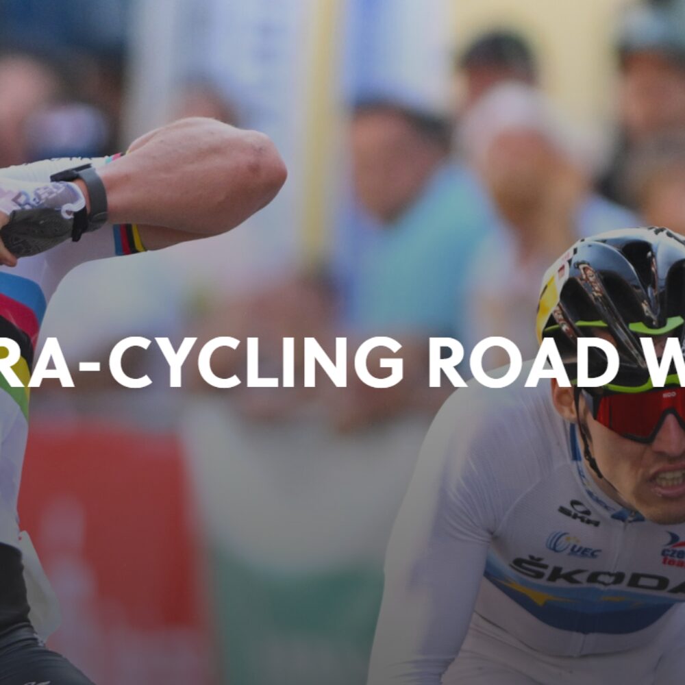 905fafbe-a176-4ab6-b7ed-a7e83abbb3a6