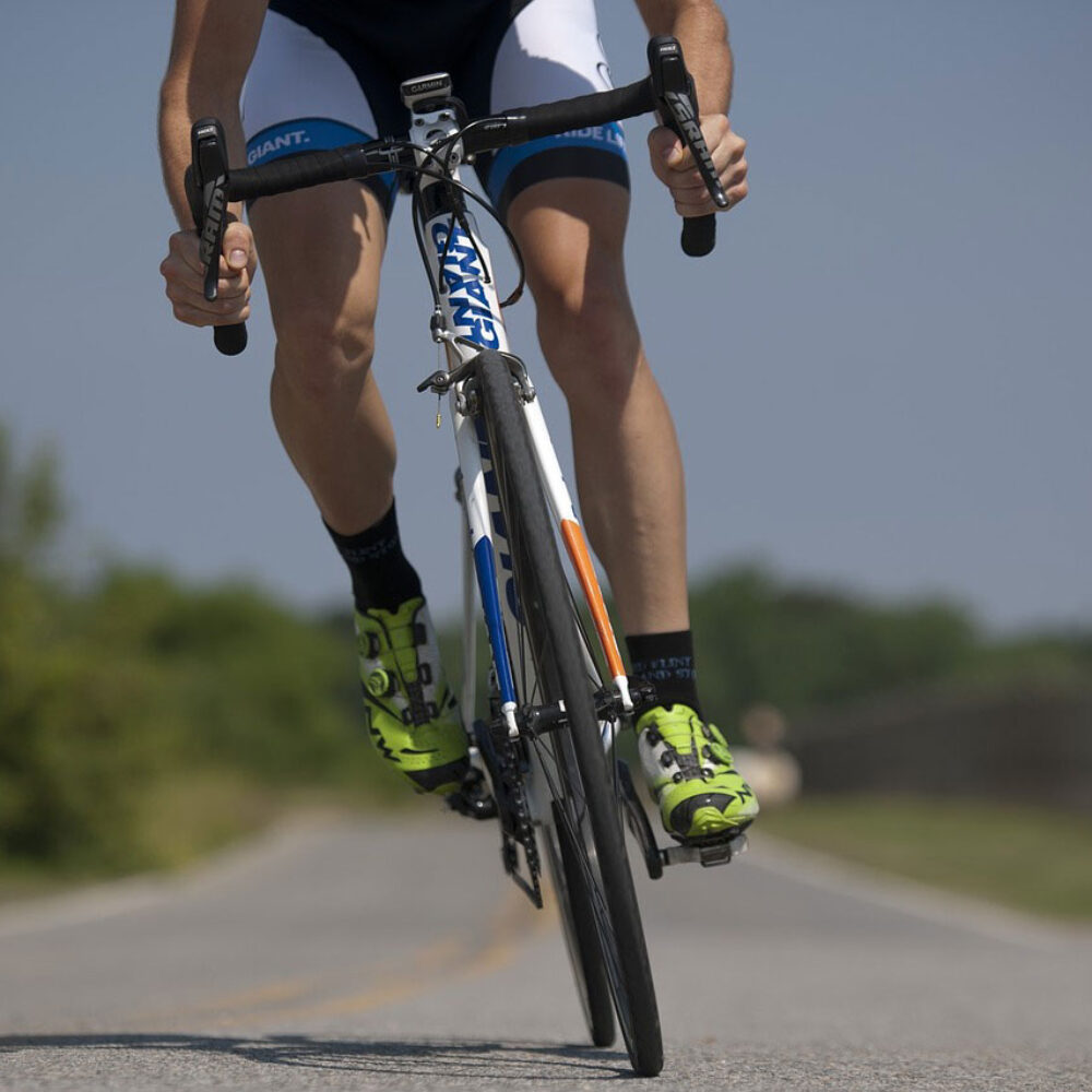 95a18baa-d8a7-4fd5-b07f-fe69b9cd0765 95a18baa-d8a7-4fd5-b07f-fe69b9cd0765