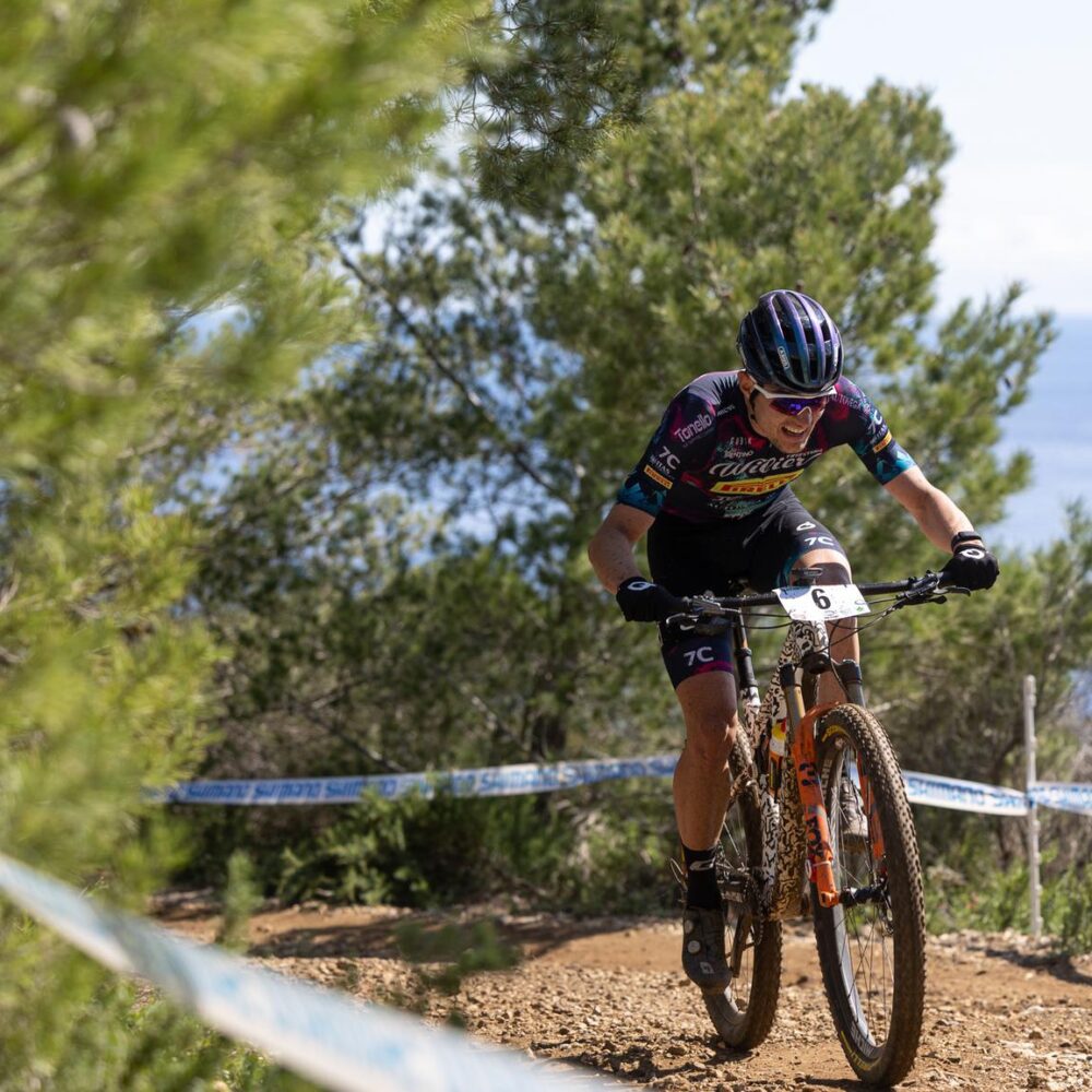 9811781e-45f7-401c-9d87-09588443470c