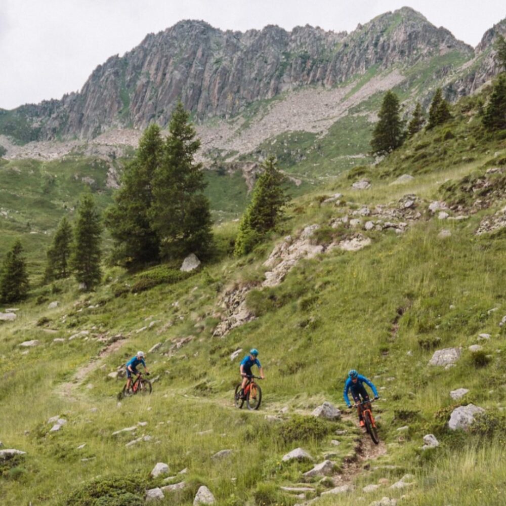 9899f5d8-ed45-4ef0-9ca9-4993c6b32ea1