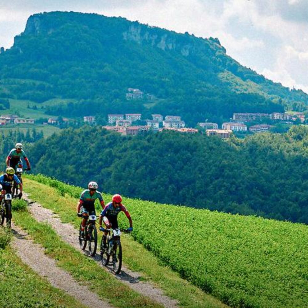 9f93a630-aeca-467d-896a-76f888fe5da7