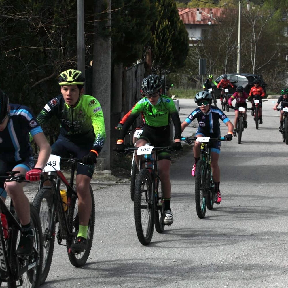 a2278c3b-03b9-45fb-b678-817cafce6885