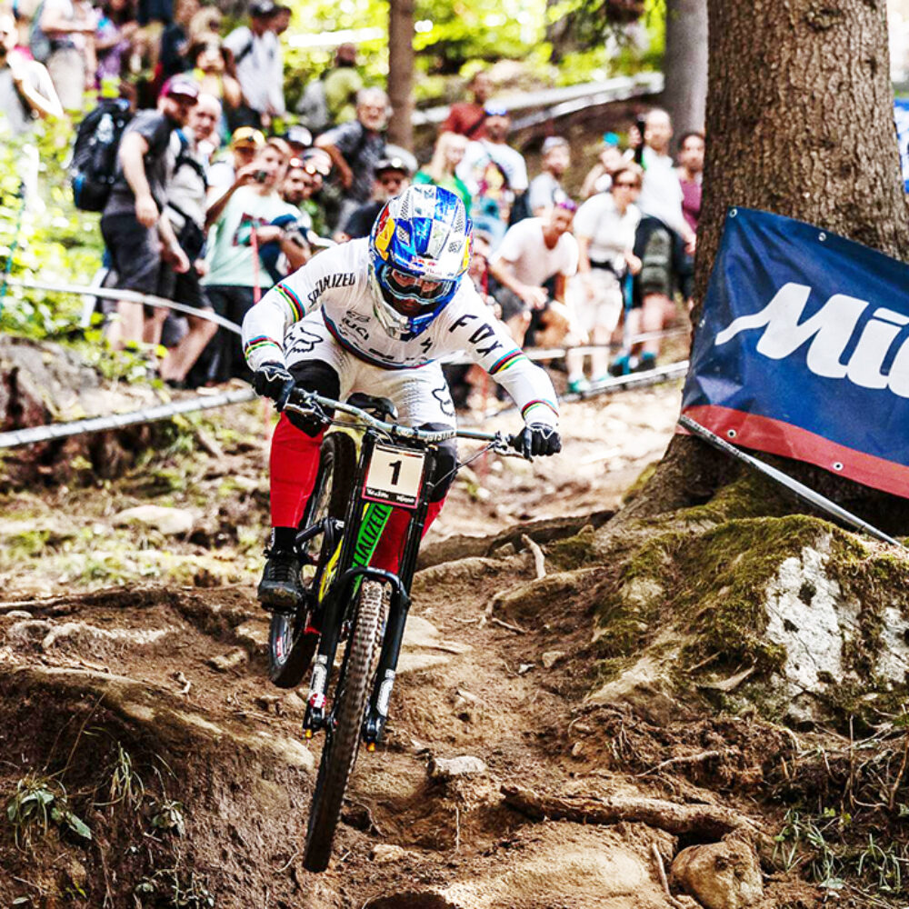 a53e9daa-d6ea-4b69-859e-085341d4c1bf a53e9daa-d6ea-4b69-859e-085341d4c1bf