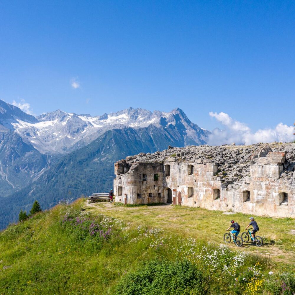 a5fc6b3e-5b98-4522-b66d-6518e7c6167d