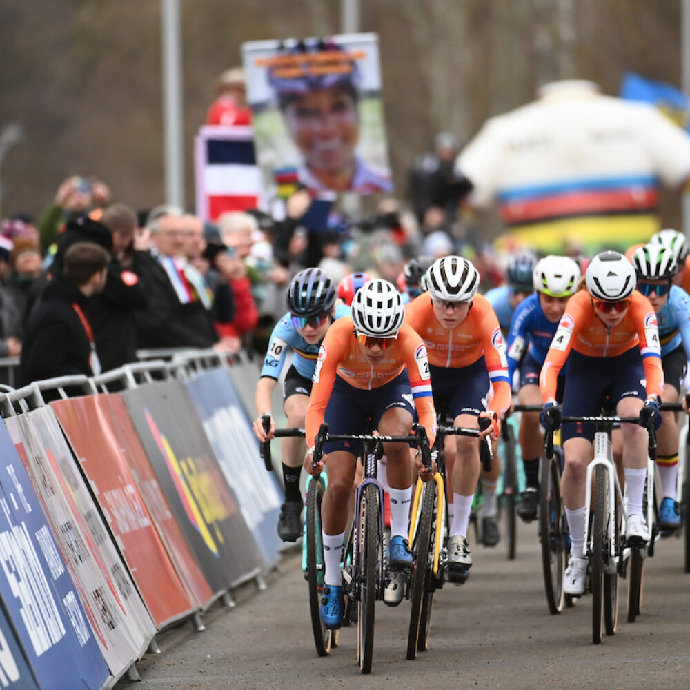 a81cc80c-69d1-4730-9d9a-1ccaca5b03ab