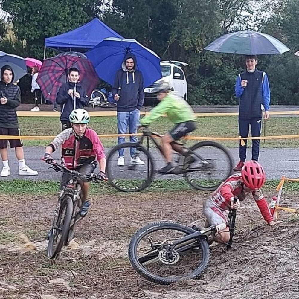 ae330696-0050-464d-9b6f-8b36a9e7513a