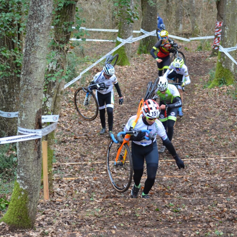 ae5f84a0-5fa4-4766-9b27-6a66aacc78f0 ae5f84a0-5fa4-4766-9b27-6a66aacc78f0