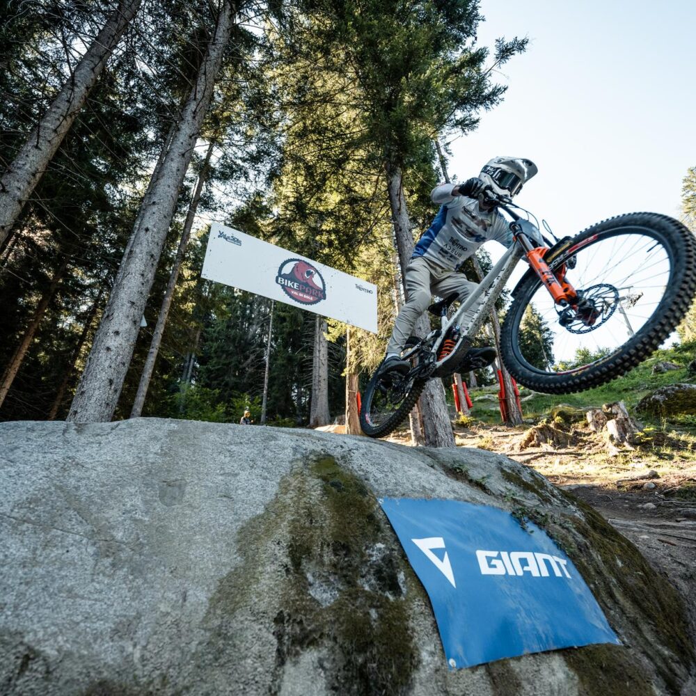 b0c395a1-bdd3-45ff-bb6e-3051e239298a b0c395a1-bdd3-45ff-bb6e-3051e239298a