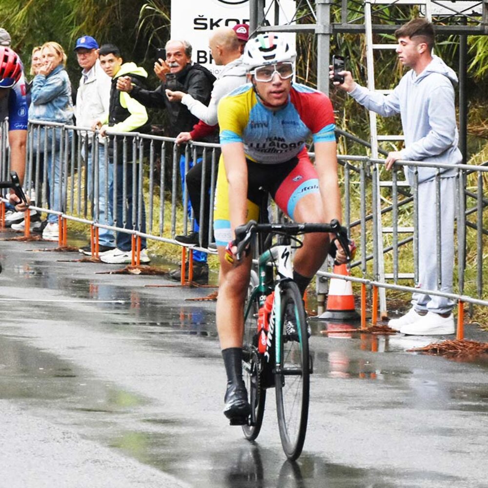 b177a139-97c5-4a14-93f8-b746417ccb92