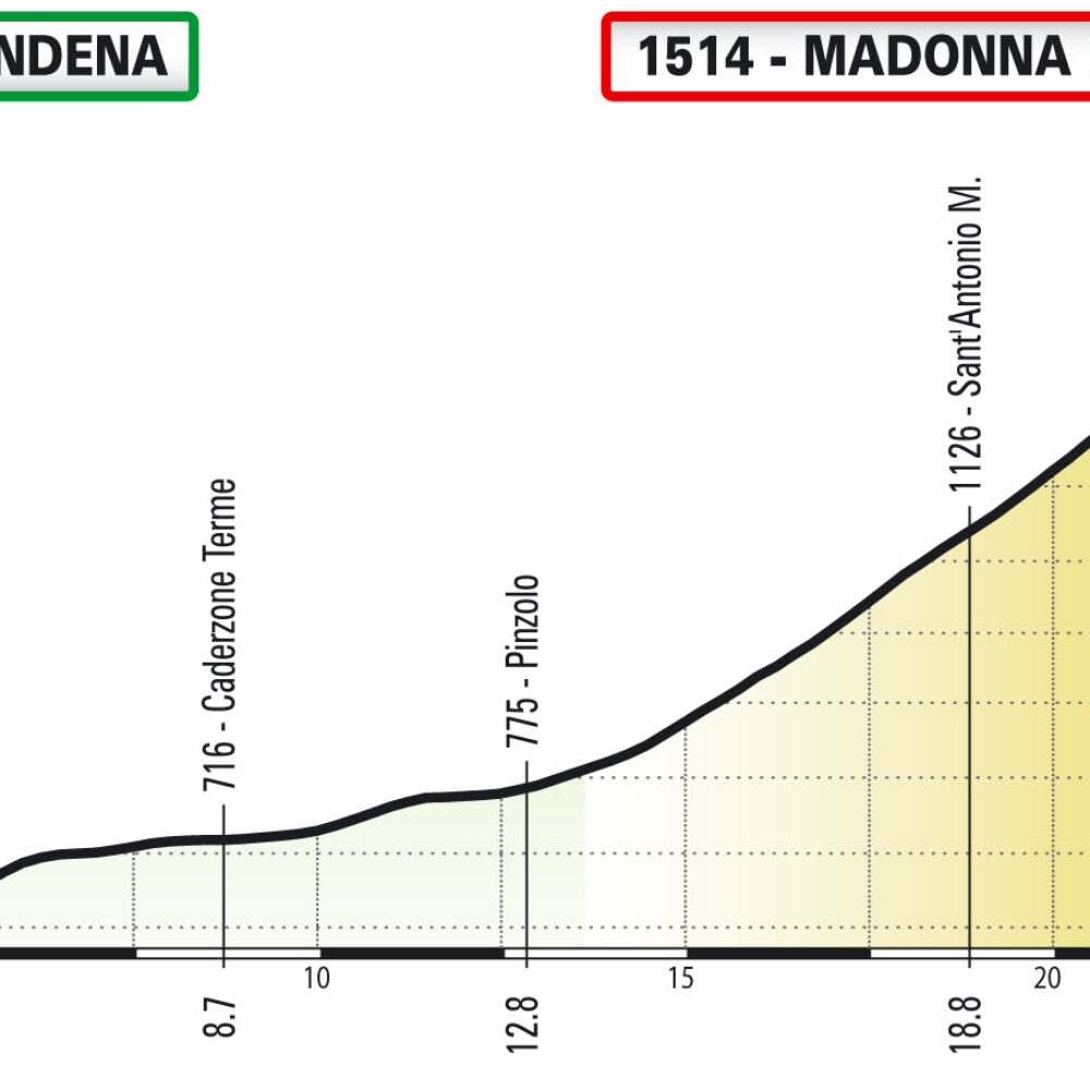 T17_MadonnaDC_VIRT_alt