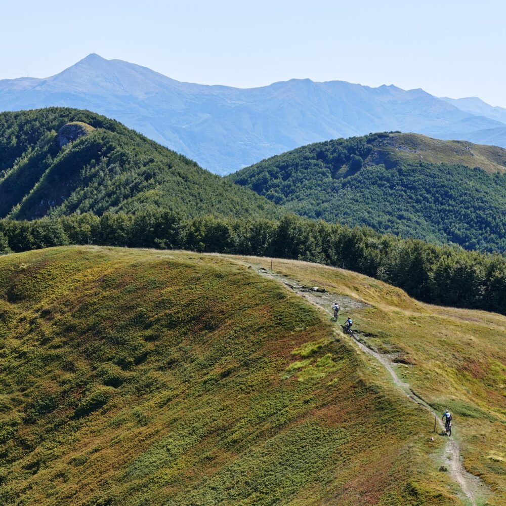 b67c18fa-01b7-4eb1-adcf-2d3359158c6f