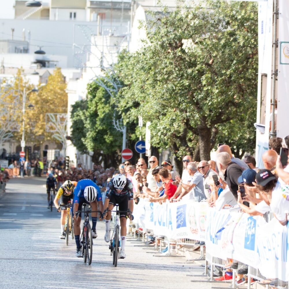 b7f2a862-e783-46bd-95f8-ce9ed4ba886a