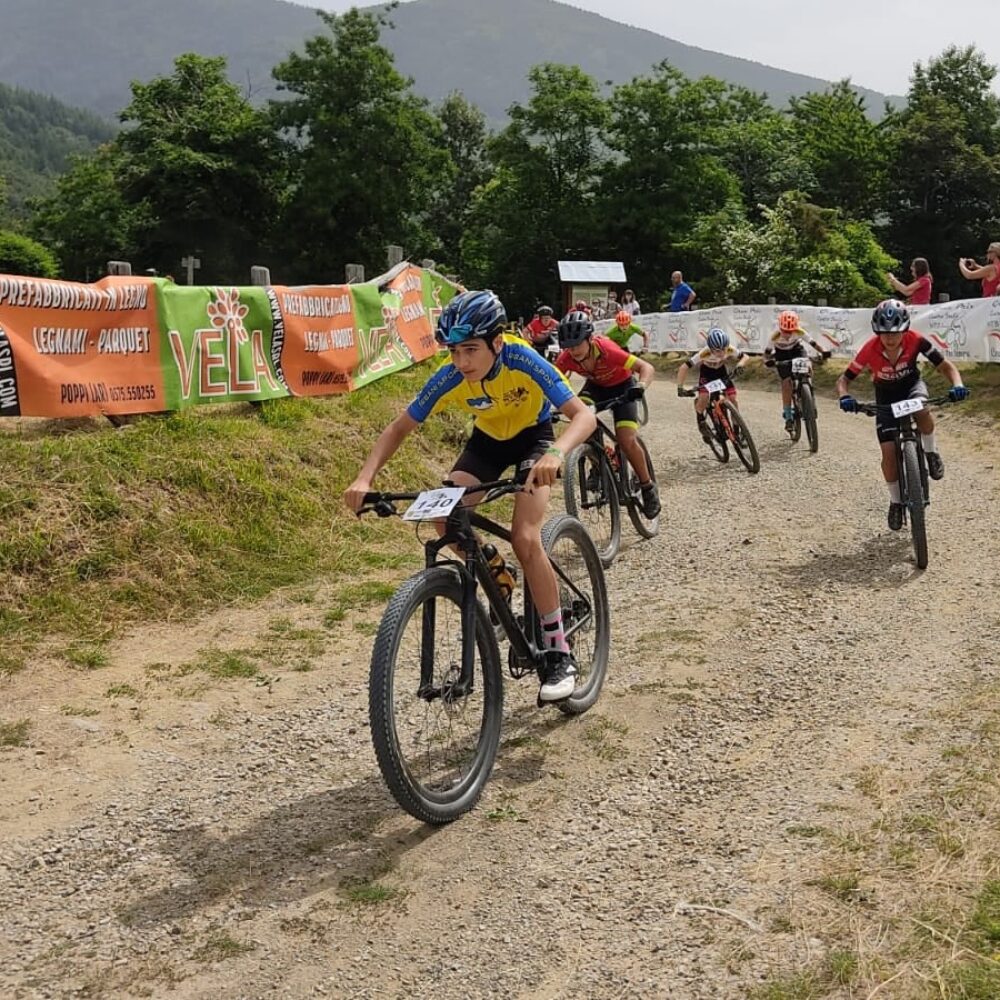 b86c1f34-6e8b-47bd-9131-678b0a2790a7 b86c1f34-6e8b-47bd-9131-678b0a2790a7