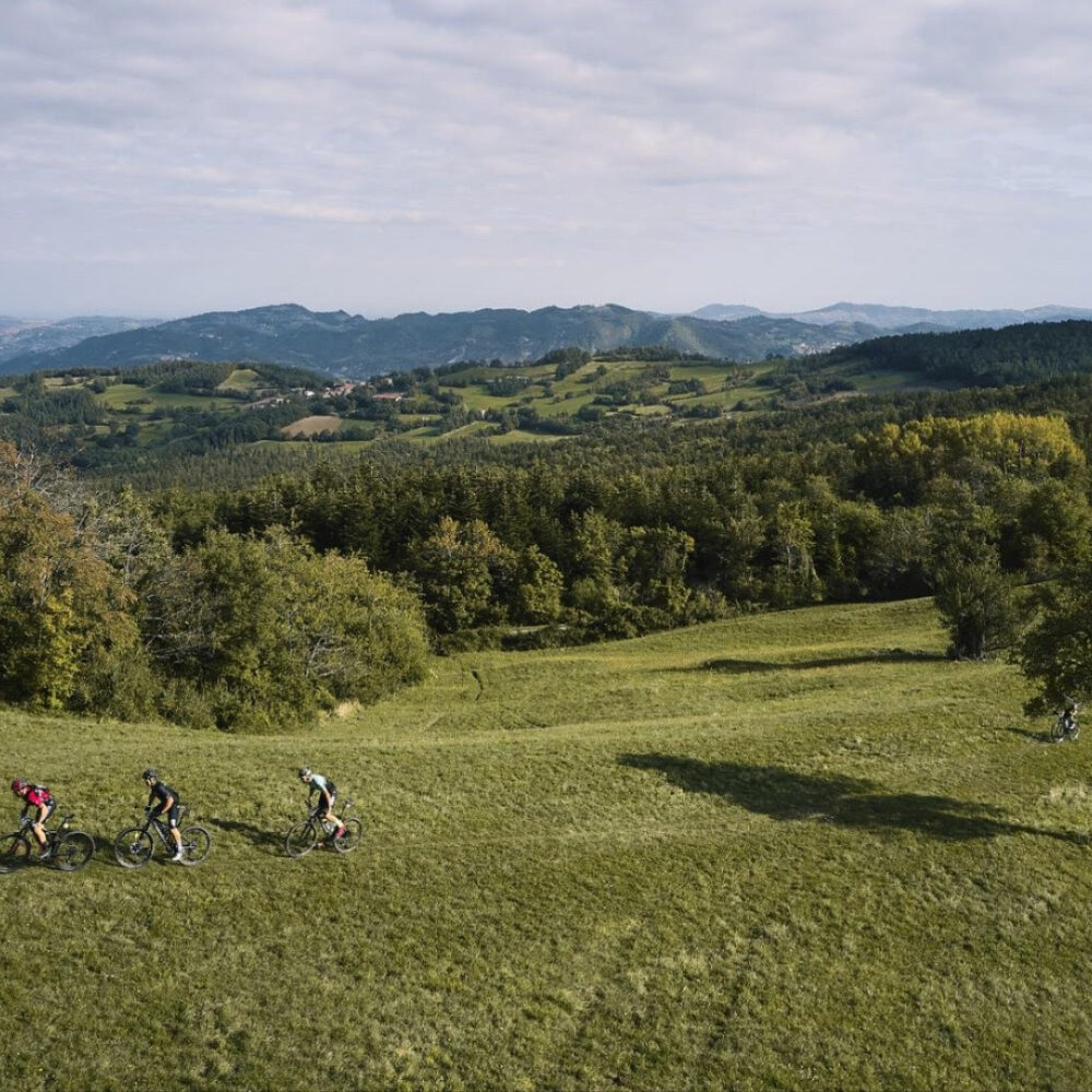 b99c6d4f-f4bc-488d-b38c-c116bcec5c37