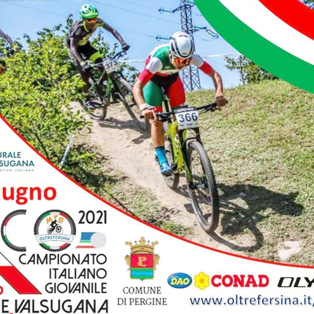 bedf0296-055a-47a1-9a83-ed3c04cf5de2