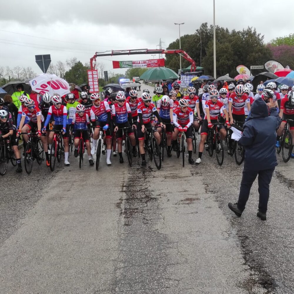 cb2d10c0-4956-4e11-907e-156b69a2686c