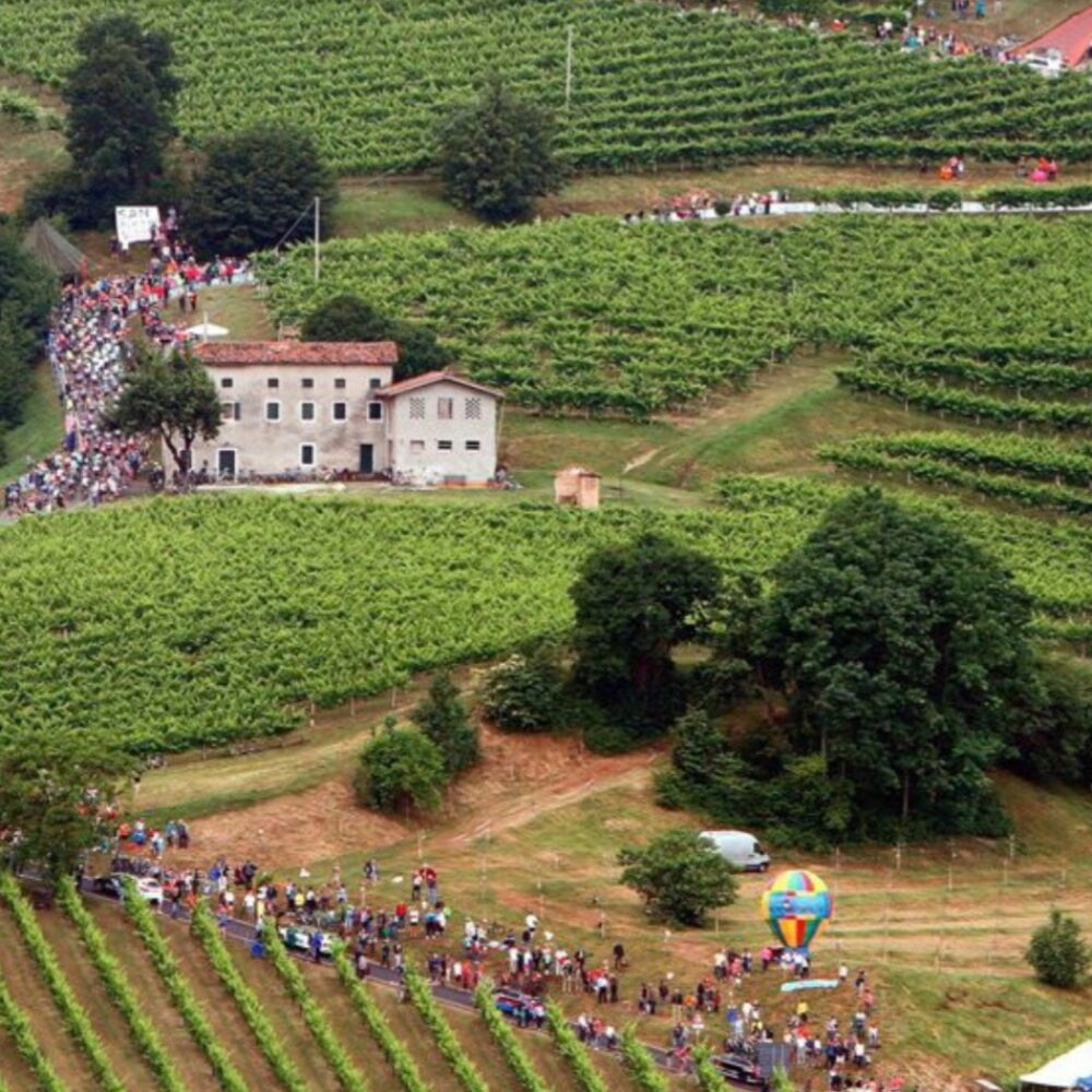 cc696aa3-008c-468d-8e00-f0ea72d1e47e