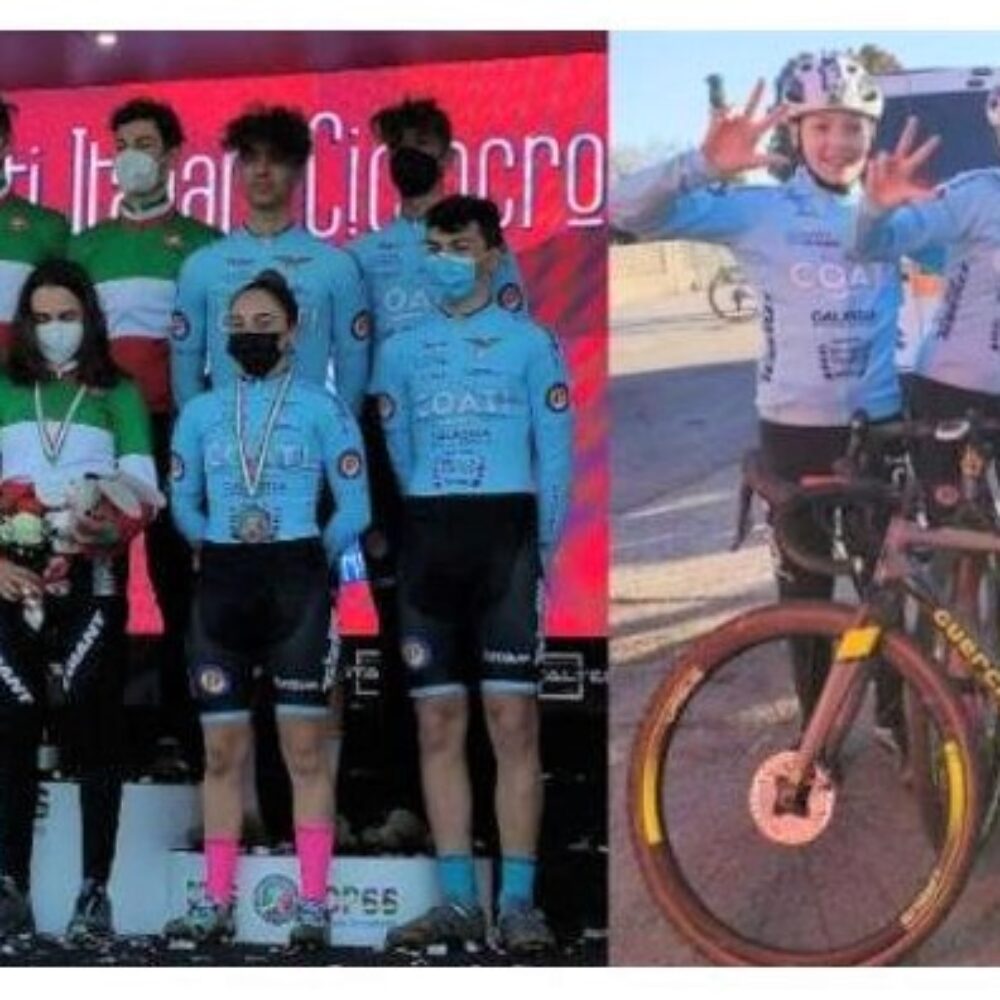 ce171230-7dbc-4803-966d-f257e4448225