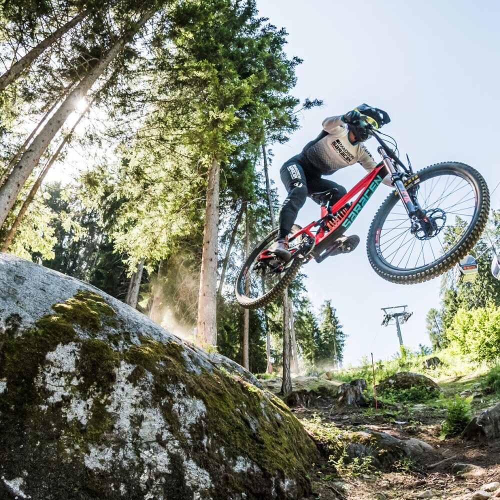 d1a08fa9-ee13-4086-8a71-0d4d9b29c322