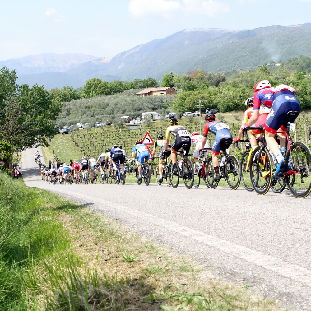 d1d0af0a-c48c-452d-86a1-92a2551a672d