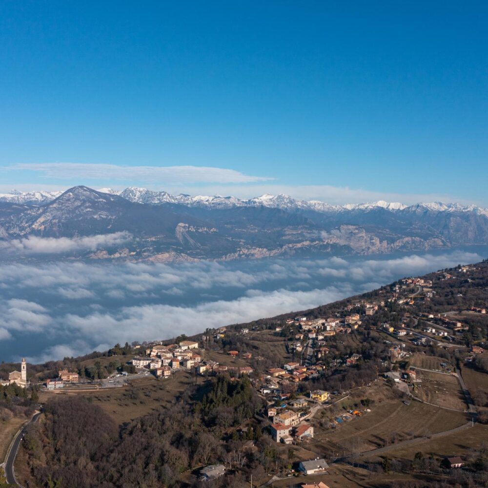 d29d96a2-1115-472e-a025-a3aa92da8f5e d29d96a2-1115-472e-a025-a3aa92da8f5e