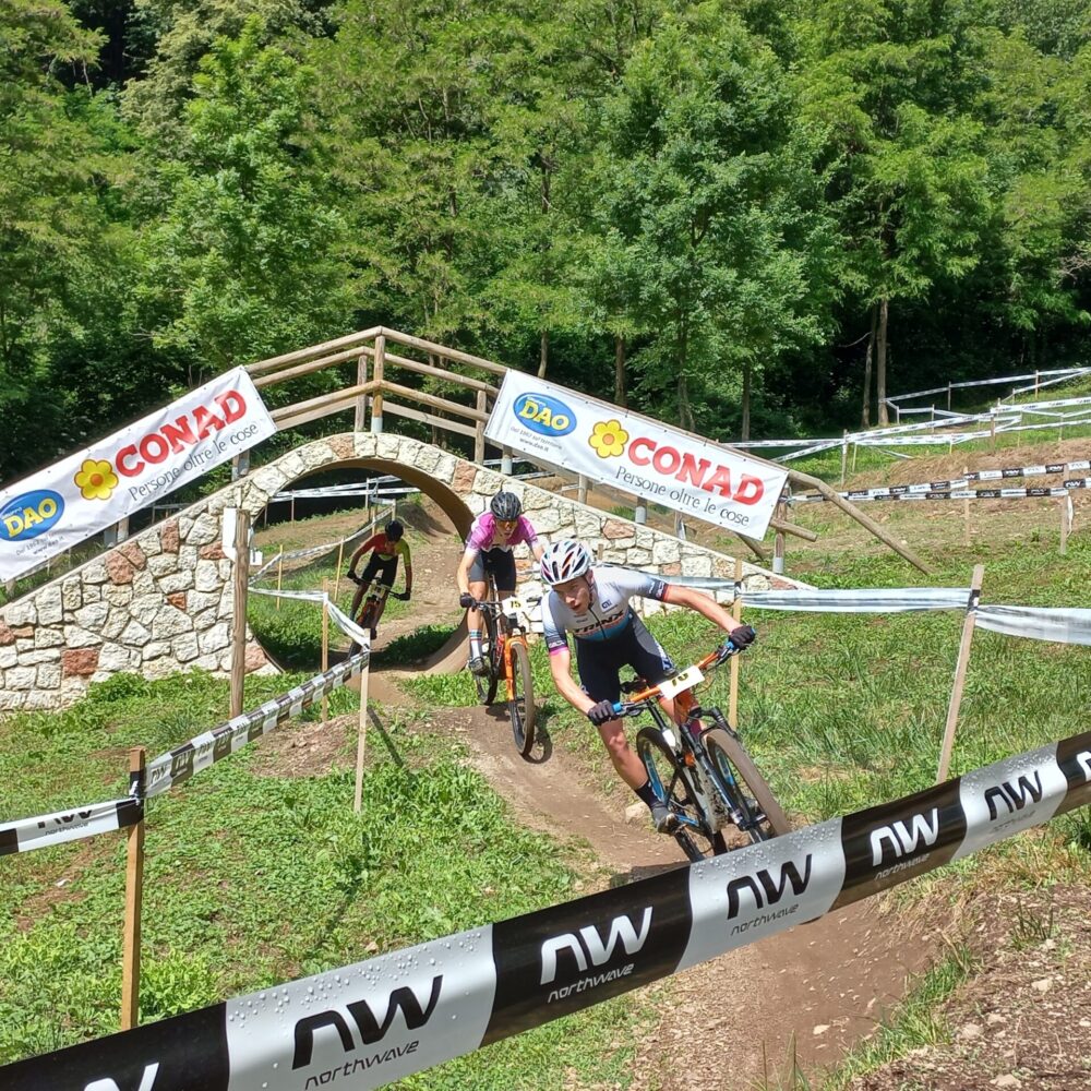 d34181ee-cb48-41d1-90d0-11aabbc247d2