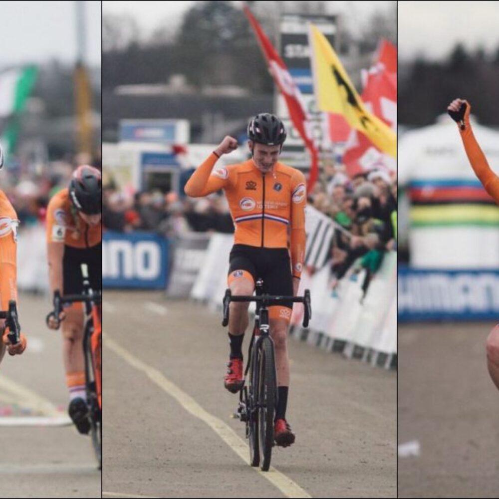 d4275a6a-cb07-4727-b977-a4de6489a8bb