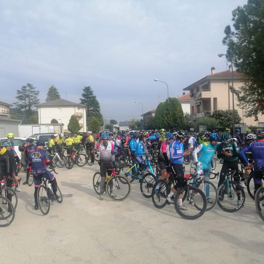 d48354a3-2632-4e9f-a045-115f1e61d1d5