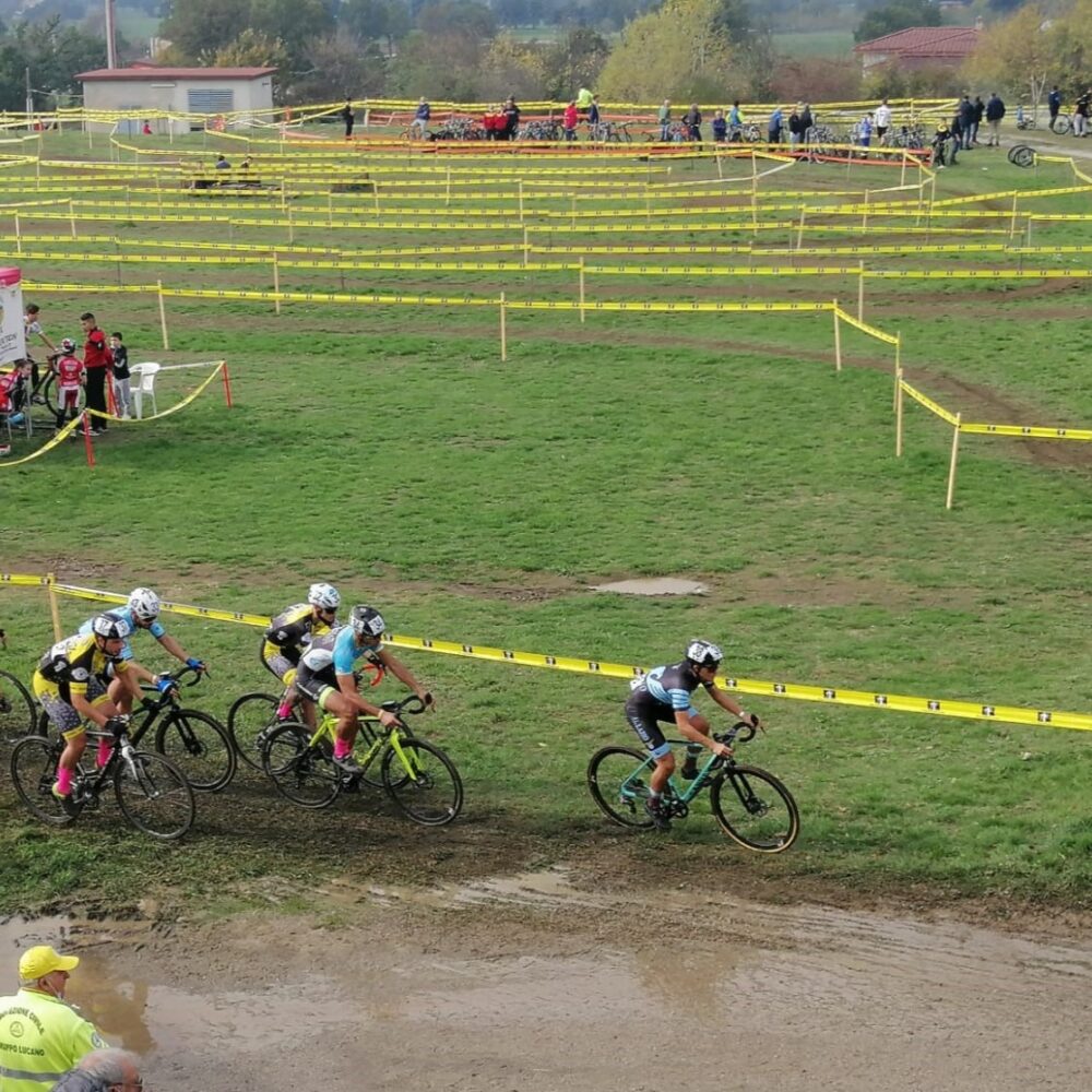 d4f18ae7-eb32-46dd-9ea7-b1d2fe340cd0