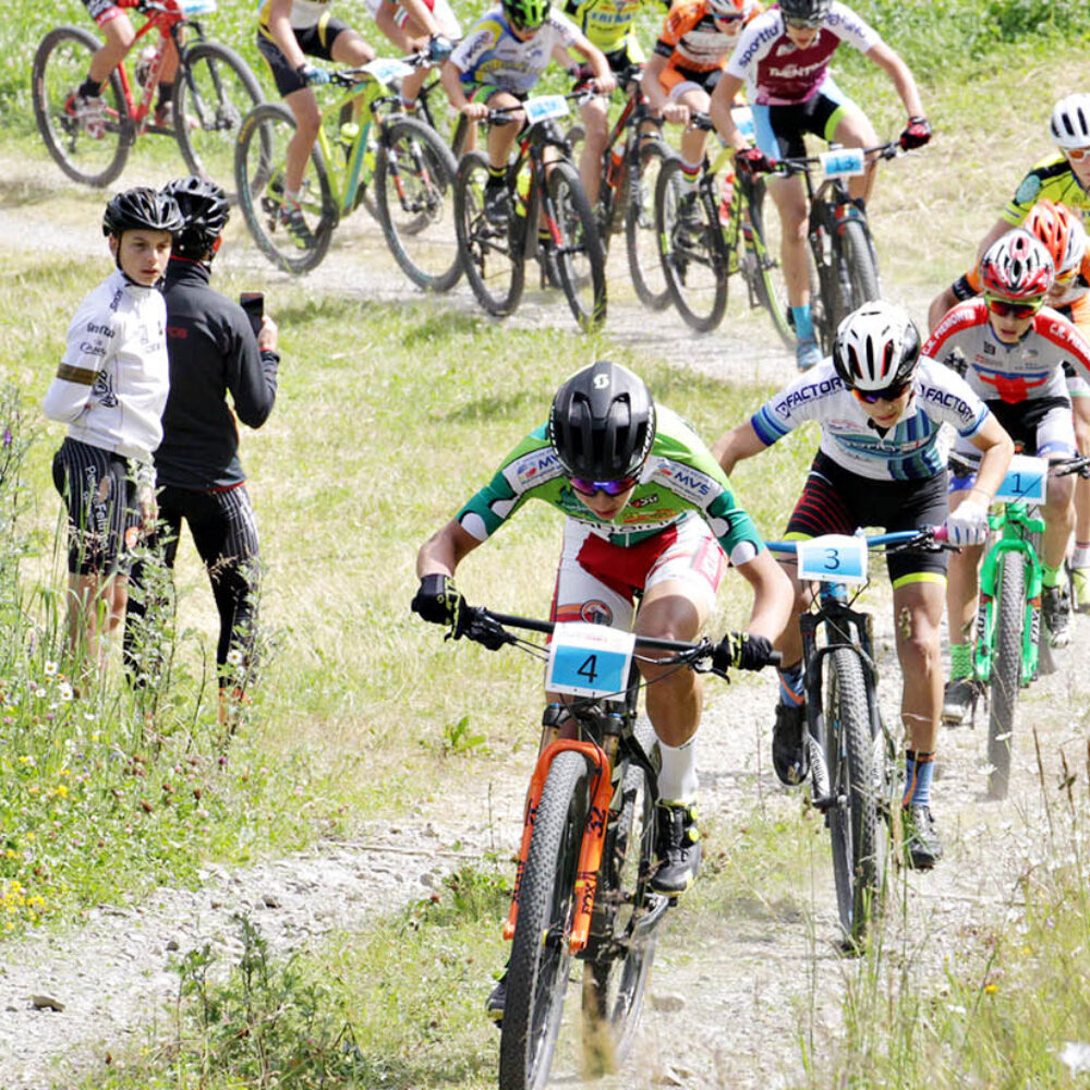 d6be9b3e-c1cf-4952-a566-2b63fea8c5eb