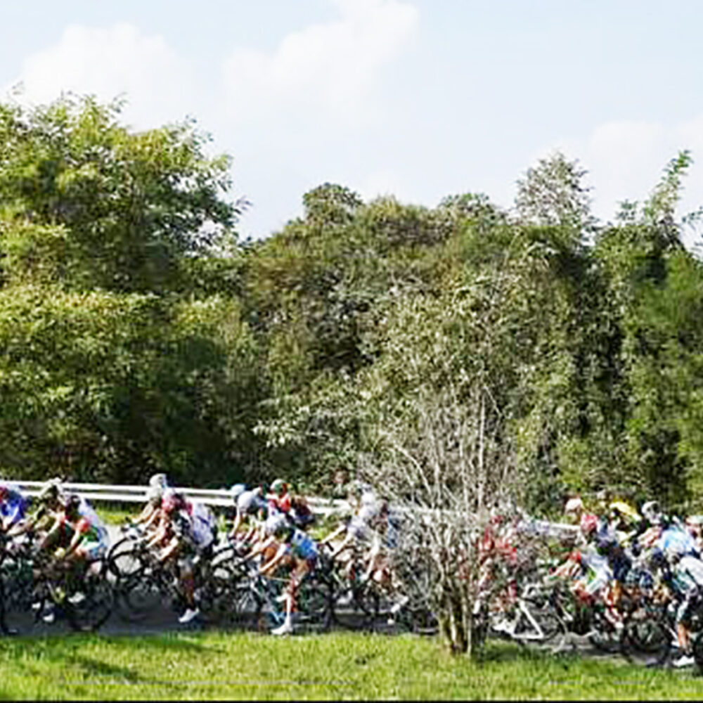 d7086c20-9d5b-404d-9c14-82757814f632