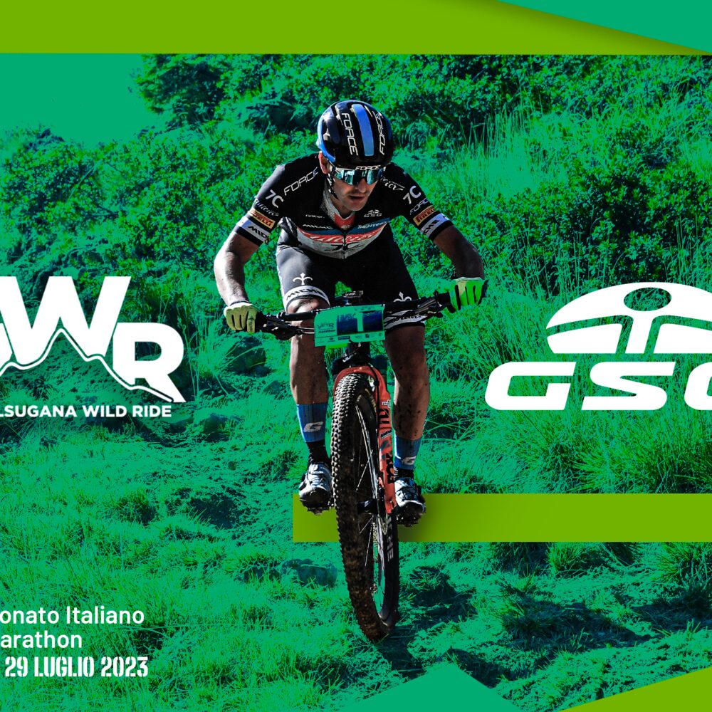 d7e70320-18a8-484b-824f-ee6097dd890f