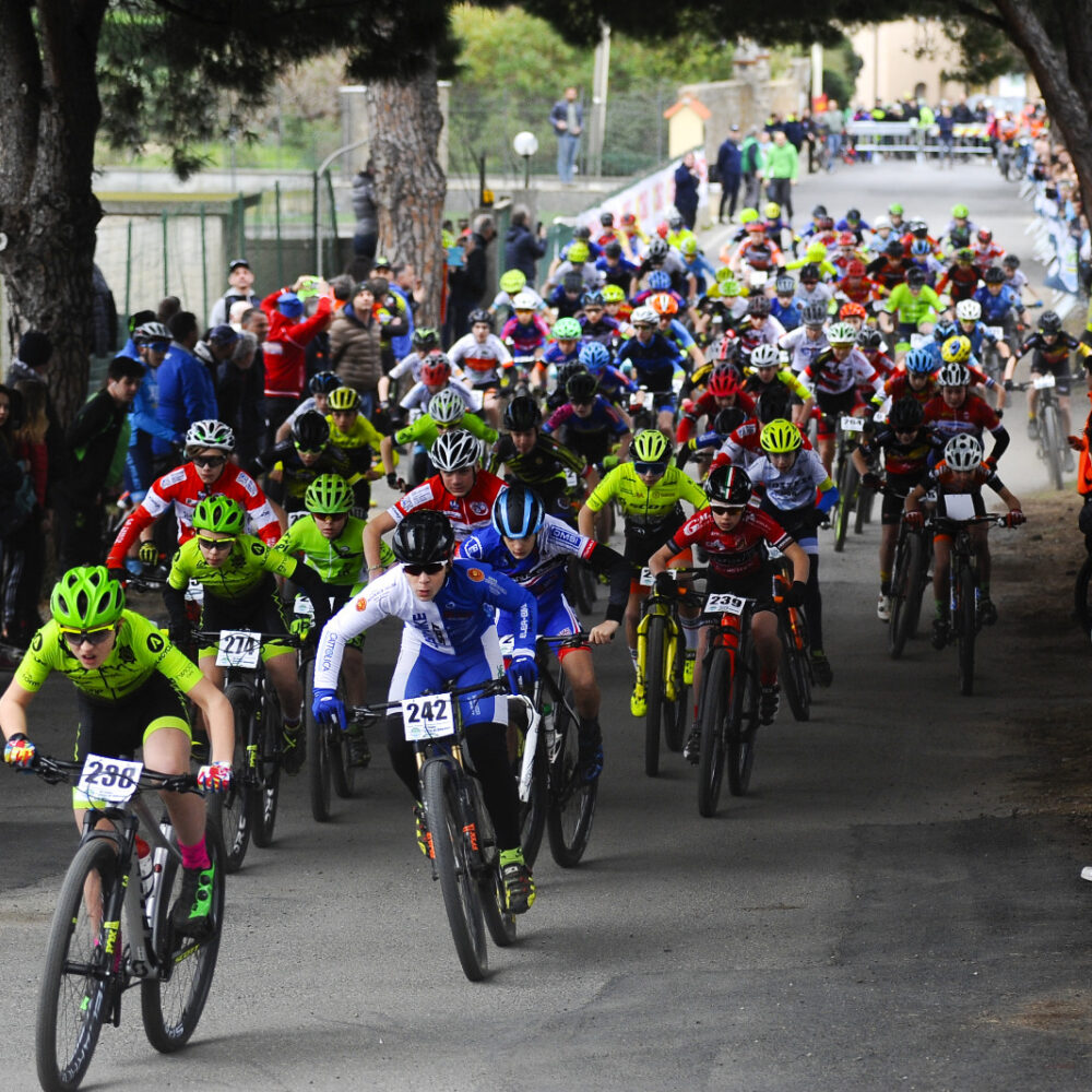 d82717fa-cdb0-48f1-a302-908e29ba170c d82717fa-cdb0-48f1-a302-908e29ba170c