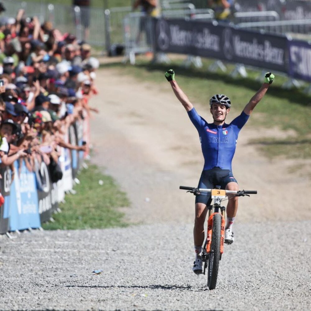 d86ed7d5-ed13-4065-b7a8-1a473f0b9250