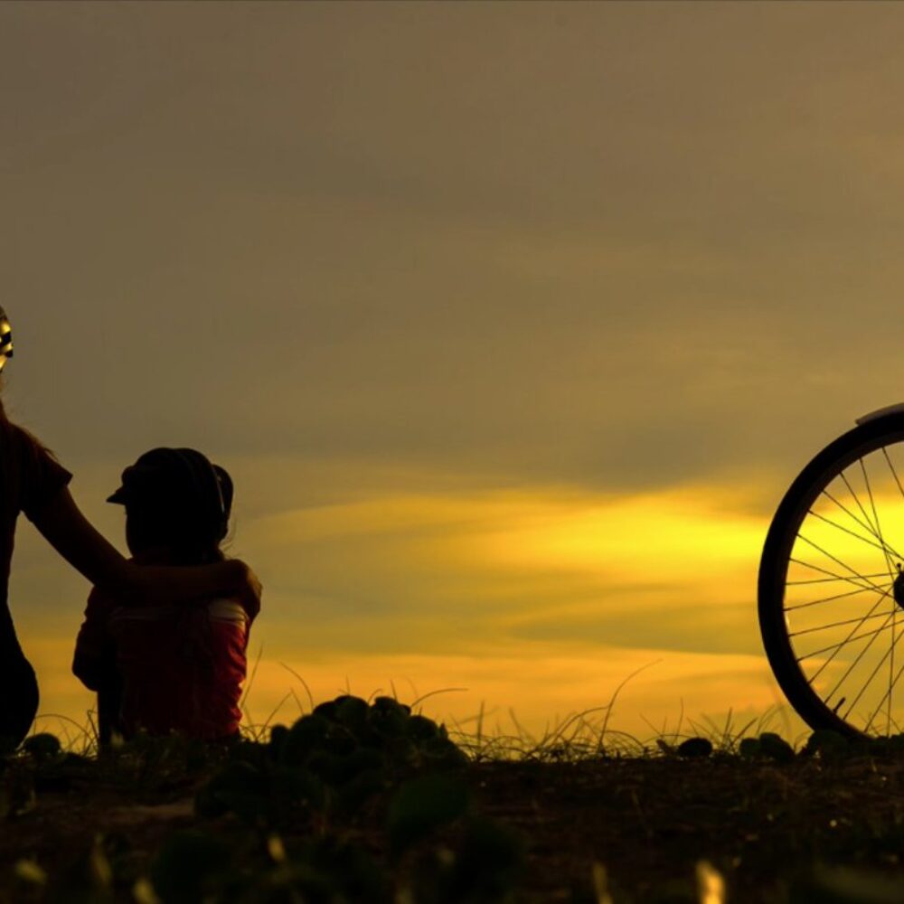 d938e1d0-7d7a-452b-b90b-c48ca941c66e d938e1d0-7d7a-452b-b90b-c48ca941c66e