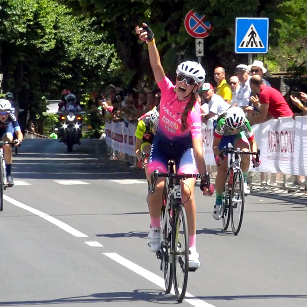 dbb6e2c3-2ec9-4299-84ed-c4dfe29a8304 dbb6e2c3-2ec9-4299-84ed-c4dfe29a8304