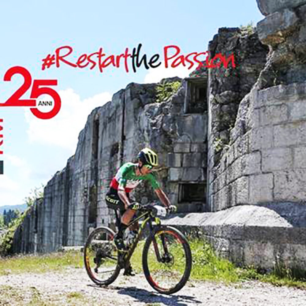 ddc09e87-2575-4dba-87df-8086442a9349