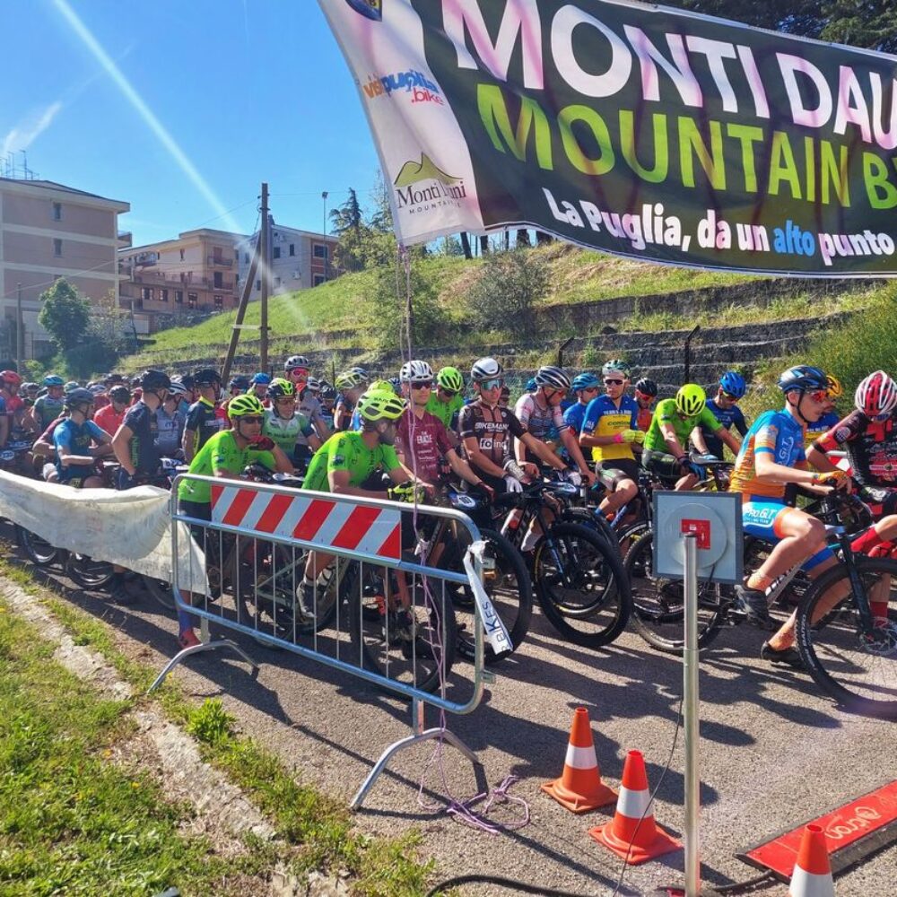 e1b67edc-3fff-45d0-b74e-3df668897146