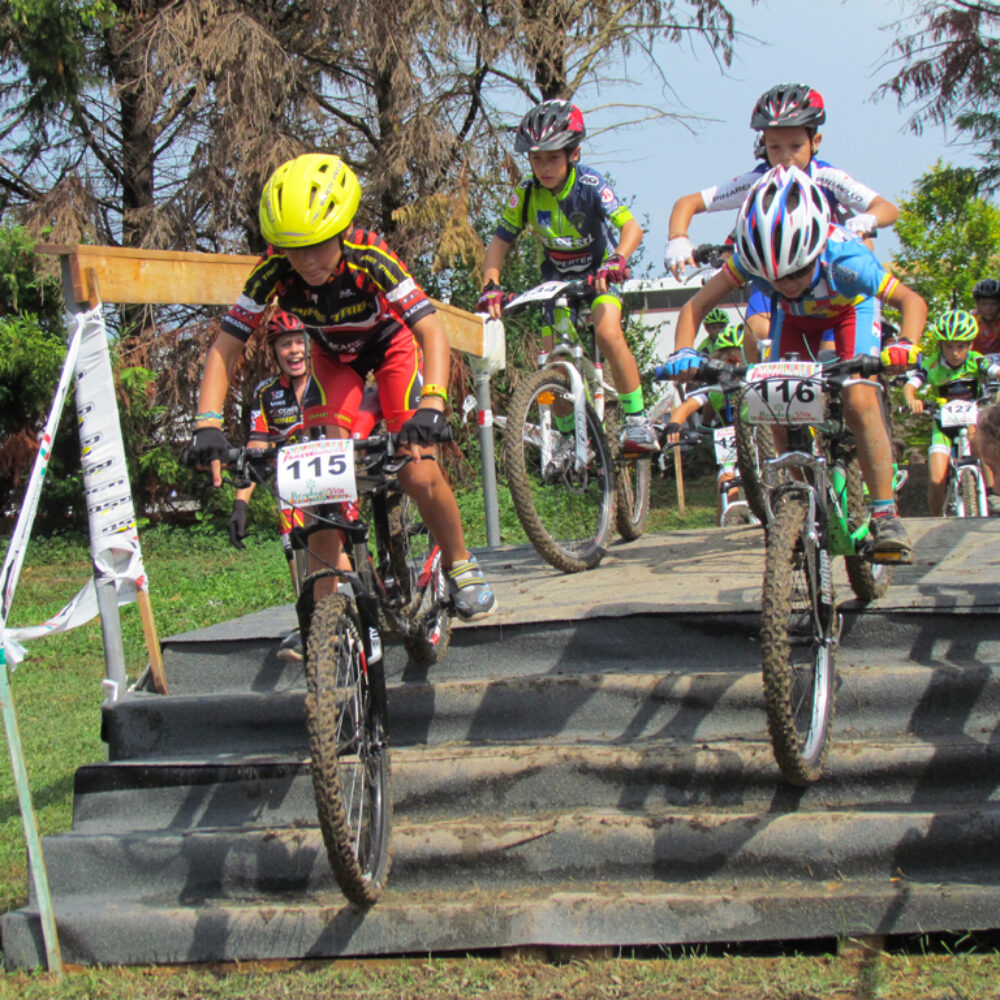 e2305f2b-e77b-45de-b189-764fc7fc6e7c e2305f2b-e77b-45de-b189-764fc7fc6e7c