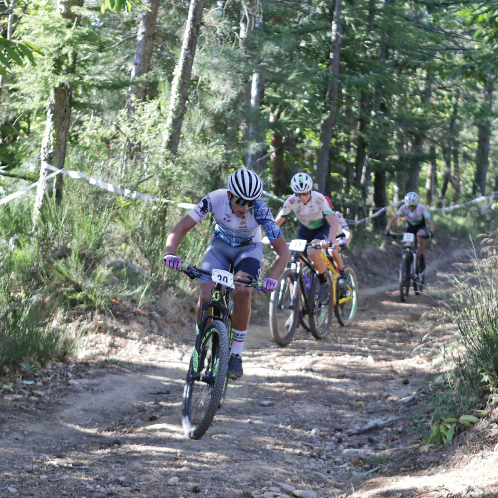 Newspower.it Trento www.newspower.it