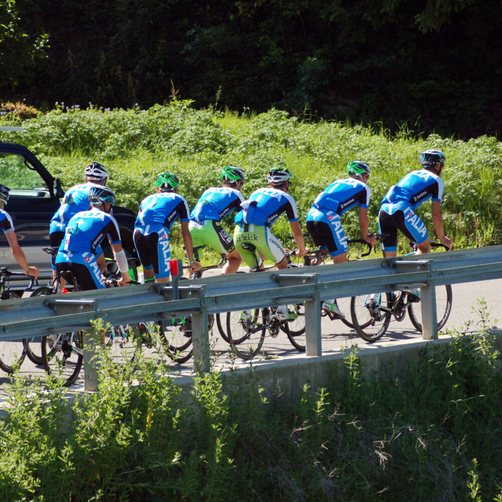 e3334edf-5df7-4920-83d2-f4b057b42f70