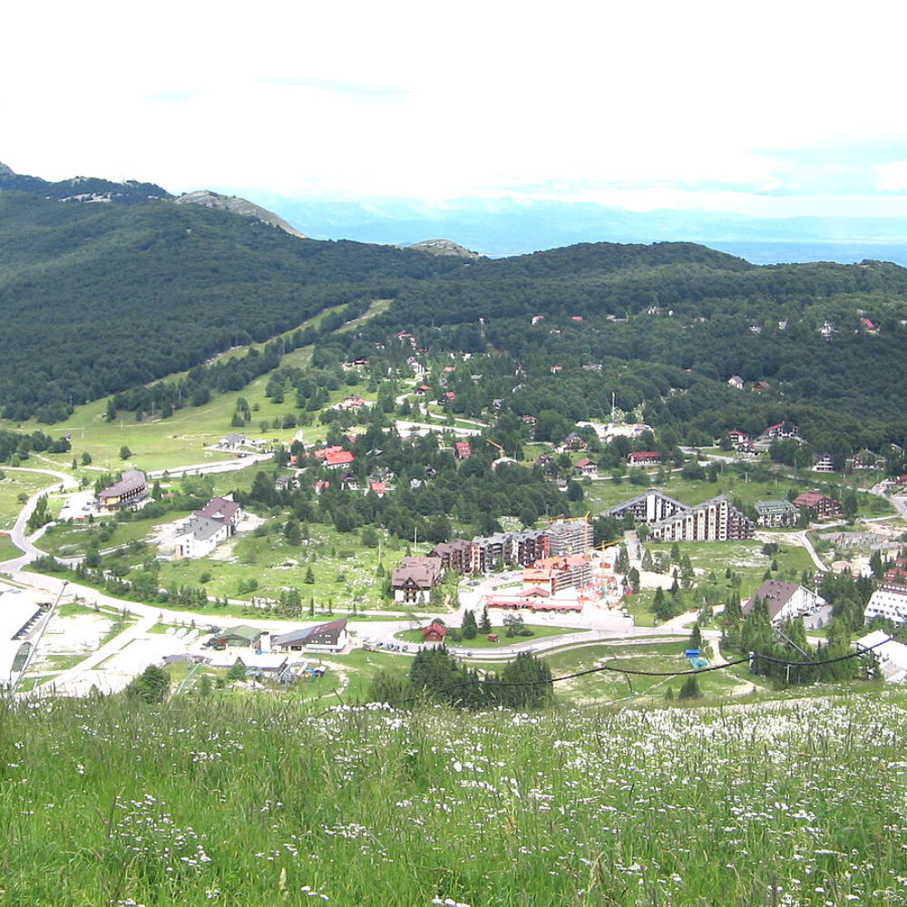 f2ef1e97-b2d6-4373-afca-0b52a2a4f407 f2ef1e97-b2d6-4373-afca-0b52a2a4f407