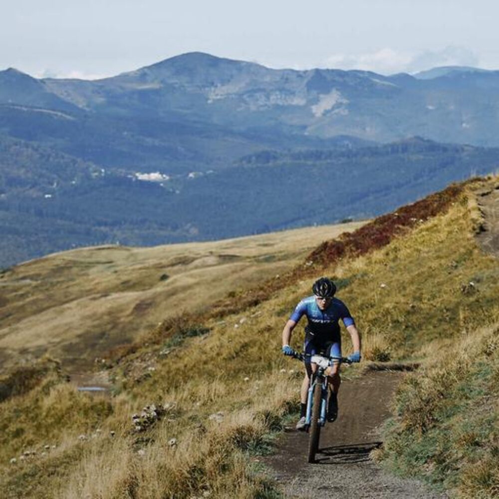 f3817ec8-3499-40f5-96d9-cb8490bf999d