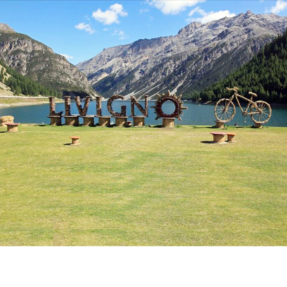 f3d0ad01-235b-4708-8a3e-f2ccdcbe4a85 f3d0ad01-235b-4708-8a3e-f2ccdcbe4a85