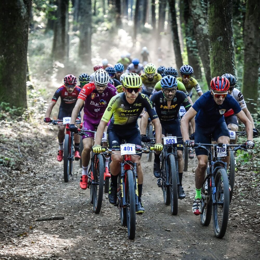 f72b6bf0-6c02-4fce-a995-ac4af563b18e