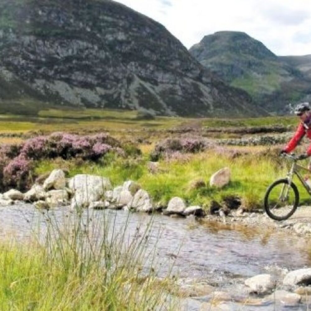 f8764364-2791-4866-ad40-b77e4e78aede f8764364-2791-4866-ad40-b77e4e78aede