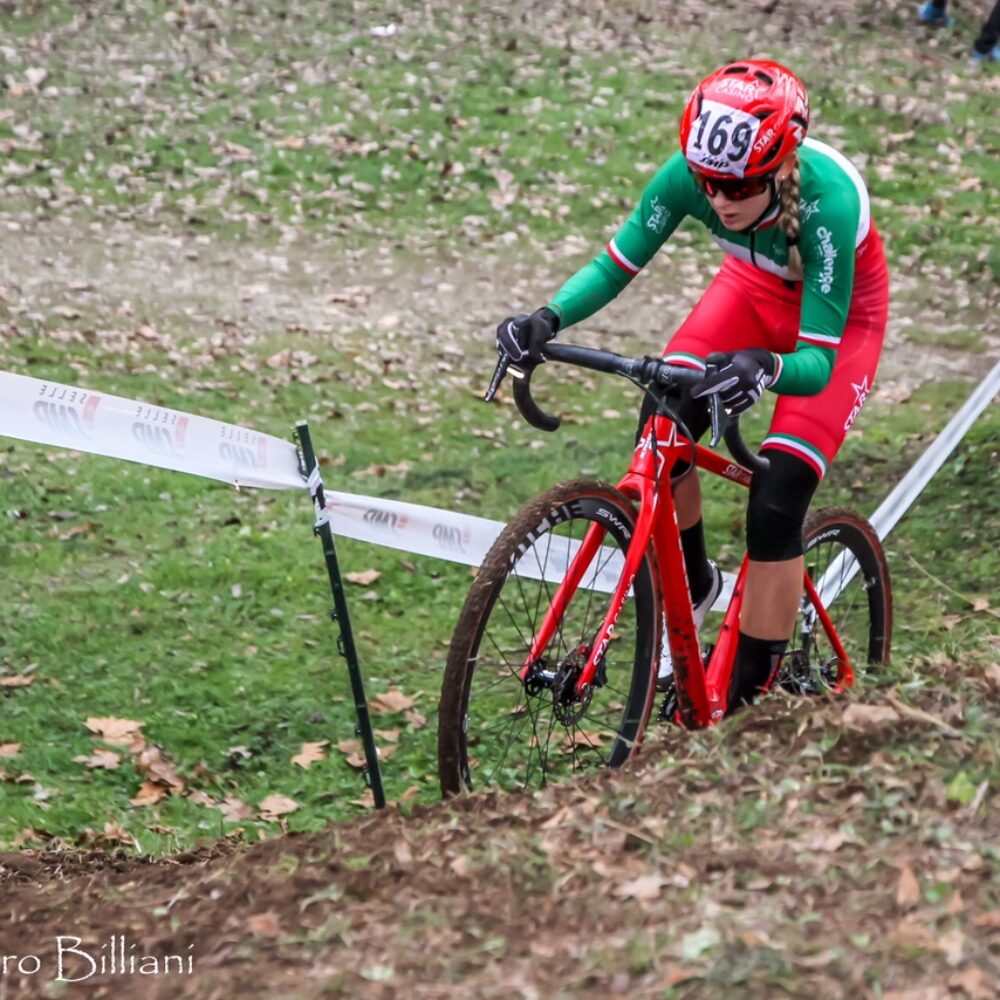 faf65a33-22c7-421e-8c86-13043e9ed1e8 faf65a33-22c7-421e-8c86-13043e9ed1e8