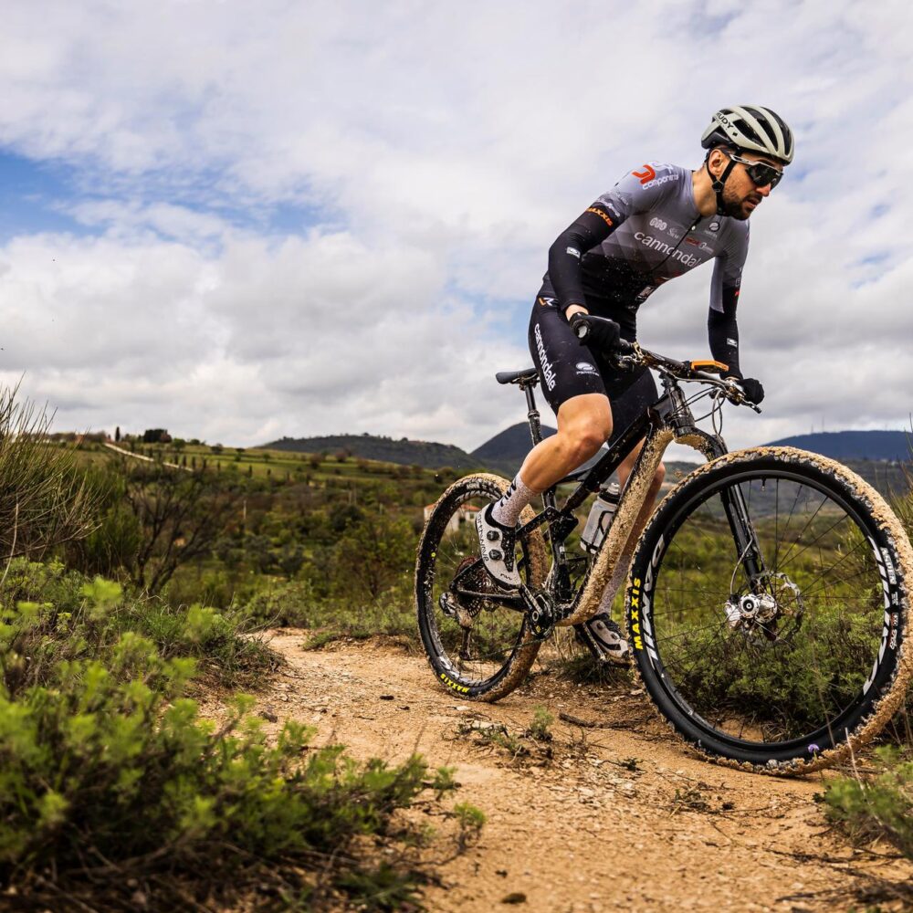 fbb5876d-f8b3-4386-bfdb-af803b19fe33 fbb5876d-f8b3-4386-bfdb-af803b19fe33