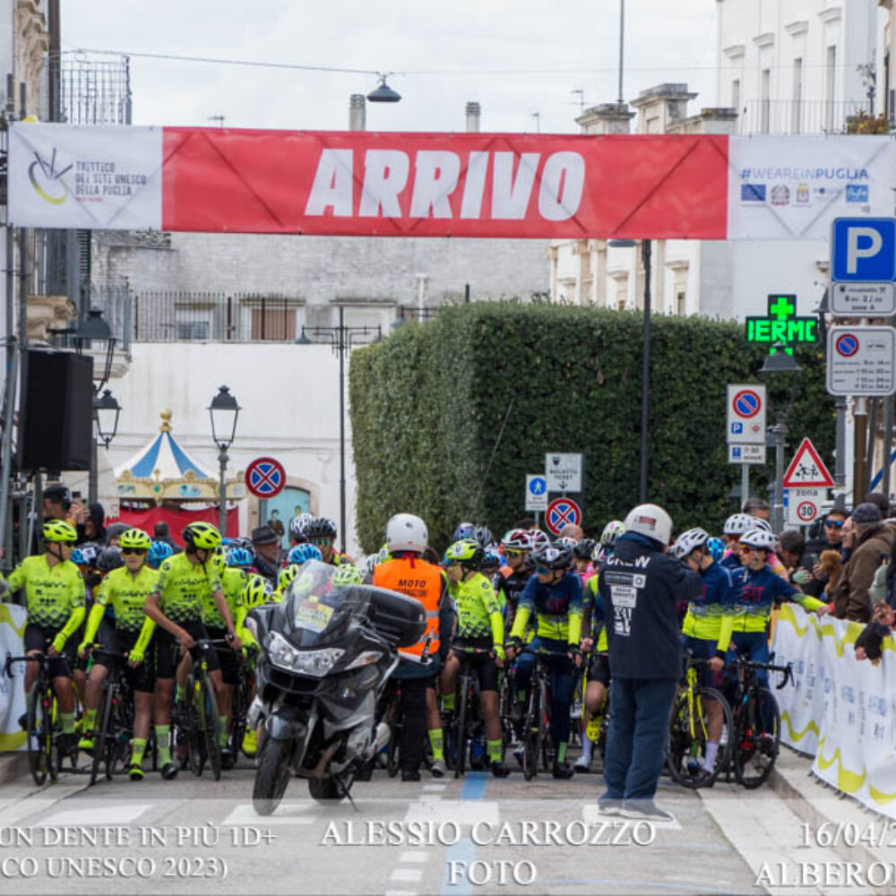 fc65502a-ff95-4891-b303-7d4c73c0b1a9